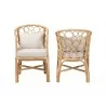 bali & pari Prisca Natural Rattan 2-Piece Dining Chair Set with Bubble Frame - back - bali & pari Prisca Natural Rattan 2-Piece Dining Chair Set with Bubble Frame - back