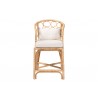 bali & pari Prisca Natural Rattan Counter Stool with Bubble Frame - front - bali & pari Prisca Natural Rattan Counter Stool with Bubble Frame - front