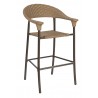 Woodard Barlow Stationary Bar Stool - Angled in Bronze Teak