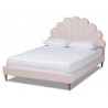 Baxton Studio Odille Light Pink Velvet Upholstered Queen Seashell Platform Bed