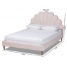 Baxton Studio Odille Light Pink Velvet Upholstered Queen Seashell Platform Bed