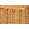Baxton Studio bali & pari Andrea Natural Rattan Console Table - top