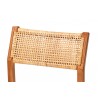 Baxton Studio bali & pari Chatura Natural Rattan and Mahogany Wood 2-Piece Counter Stool Set - top