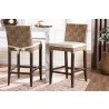 Baxton Studio bali & pari Fatima Natural Rattan Counter Stool with Cushion - lifestyle