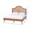 Baxton Studio Rodolfo Platform Bed - Dimes - Baxton Studio Rodolfo Platform Bed - Dimes