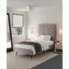 Manhattan Comfort Crosby Modern Twin-Size Upholstered Velvet Bedframe and Headboard in Blush Indoor View - Manhattan Comfort Crosby Modern Twin-Size Upholstered Velvet Bedframe and Headboard in Blush Indoor View