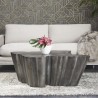 Sunpan Lynx Coffee Table in Antique Grey - Lifestyle