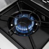 Broil King Baron 320 Pro Grill - NG/LP - Side Burner