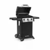Broil King Gem 310 - LP - Angled and Open - Broil King Gem 310 - LP - Angled and Open