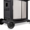 Broil King Signet 320 - NG/LP - Cabinet