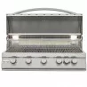 Blaze Grills 40-Inch 5-Burner LTE Gas Grill - Front and Opened With Light - Blaze Grills 40-Inch 5-Burner LTE Gas Grill - Front and Opened With Light