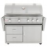 Blaze Grills Professional 44-Inch 4 Burner Built-In Gas Grill - With Card Front