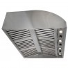 Blaze Grills Blaze 42-Inch Vent Hood - Angled View