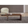 Coffee Table - Light Walnut with Brushed Stainless Steel