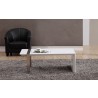 Coffee Table - White with Brushed Stainless Steel