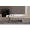 Coffee Table - White with Brushed Stainless Steel - Coffee Table - White with Brushed Stainless Steel