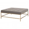 Brule Upholstered Coffee Table - Ore Gray Synthetic Brushed Brass - Side Angled