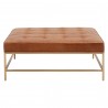 Brule Upholstered Coffee Table - Whiskey Brown Brushed Brass - Front