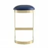 Manhattan Comfort Aura 28.54 in. Blue and Polished Brass Stainless Steel Bar Stool Front - Manhattan Comfort Aura 28.54 in. Blue and Polished Brass Stainless Steel Bar Stool Front