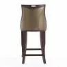 Manhattan Comfort Emperor 41 in. Bronze and Walnut Beech Wood Bar Stool Back - Manhattan Comfort Emperor 41 in. Bronze and Walnut Beech Wood Bar Stool Back