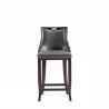 Manhattan Comfort Emperor Faux Leather Barstool in Pebble Grey Front - Manhattan Comfort Emperor Faux Leather Barstool in Pebble Grey Front