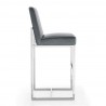 Manhattan Comfort Element 42.13 in. Graphite and Polished Chrome Stainless Steel Bar Stool Side