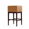 Manhattan Comfort Kingsley 38 in. Camel and Dark Walnut Beech Wood Barstool 