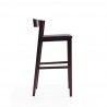 Manhattan Comfort Klismos 40.75 in. Black and Dark Walnut Beech Wood Barstool Side