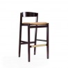 Manhattan Comfort Klismos 40.75 in. Camel and Dark Walnut Beech Wood Barstool 