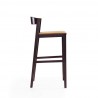 Manhattan Comfort Klismos 40.75 in. Camel and Dark Walnut Beech Wood Barstool Side