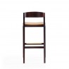 Manhattan Comfort Klismos 40.75 in. Camel and Dark Walnut Beech Wood Barstool Back