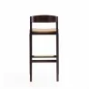 Manhattan Comfort Klismos 40.75 in. Camel and Dark Walnut Beech Wood Barstool Back - Manhattan Comfort Klismos 40.75 in. Camel and Dark Walnut Beech Wood Barstool Back