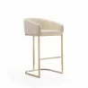 Manhattan Comfort Louvre 40 in. Cream and Titanium Gold Stainless Steel Barstool Side - Manhattan Comfort Louvre 40 in. Cream and Titanium Gold Stainless Steel Barstool Side