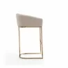 Manhattan Comfort Louvre 40 in. Cream and Titanium Gold Stainless Steel Barstool Side - Manhattan Comfort Louvre 40 in. Cream and Titanium Gold Stainless Steel Barstool Side