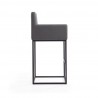 Manhattan Comfort Ambassador 42 in. Grey and Black Metal Barstool Side