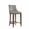 Manhattan Comfort Modern Shubert Barstool Upholstered Leatherette with Beech Wood Legs Dark Taupe Front - Manhattan Comfort Modern Shubert Barstool Upholstered Leatherette with Beech Wood Legs Dark Taupe Front