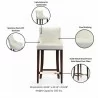 Manhattan Comfort Modern Shubert Barstool Upholstered Leatherette with Beech Wood Legs Ivory Details - Manhattan Comfort Modern Shubert Barstool Upholstered Leatherette with Beech Wood Legs Ivory Details
