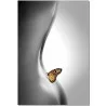 J&M Furniture Acrylic Wall Art Butterfly | SB-61336C - J&M Furniture Acrylic Wall Art Butterfly | SB-61336C