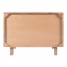 Ashton Moe's Home Collection Ashton Chest - Back  Angle