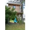 Vivere Bonsai - Sky Blue - Actual Outdoors - Vivere Bonsai - Sky Blue - Actual Outdoors