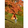 Vivere Bonsai - Mango - Actual Outdoors with Person