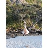 Double Cacoon - Natural White - Outdoor Hanging