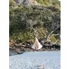 Double Cacoon - Natural White - Outdoor Hanging - Double Cacoon - Natural White - Outdoor Hanging