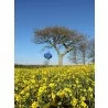 Single Cacoon - Sky Blue - Hanging - Single Cacoon - Sky Blue - Hanging
