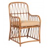 Woodard Cane Dining Armchair - Angled
