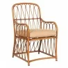 Woodard Cane Dining Armchair - Angled - Woodard Cane Dining Armchair - Angled