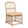Woodard Cane Dining Side Chair - Angled - Woodard Cane Dining Side Chair - Angled