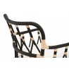 Essentials For Living Caprice Arm Chair in Black Rattan - Back Angled Close-up