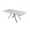 J&M Furniture Carrara Extension Dining Table 007 - J&M Furniture Carrara Extension Dining Table 007