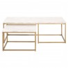 Carrera Nesting Coffee Table in Brushed Gold - Front